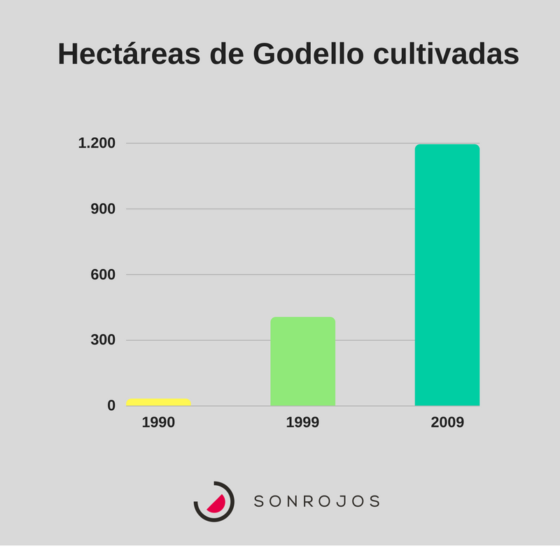 Superficie de Godello cultivada en España